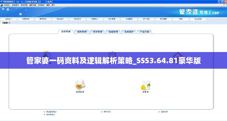 管家婆一码资料及逻辑解析策略_SSS3.64.81豪华版