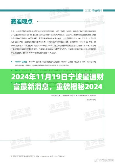 宁波星通财富最新动态揭秘，未来发展新趋势展望（2024年11月19日）