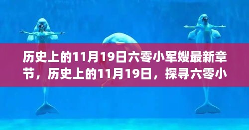 历史上的11月19日，探寻六零小军嫂最新章节背后的故事与传奇人物成长历程