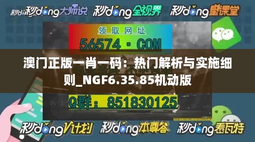 澳门正版一肖一码：热门解析与实施细则_NGF6.35.85机动版