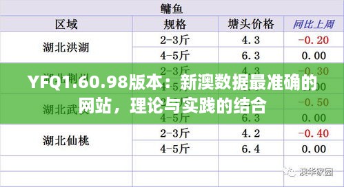 YFQ1.60.98版本：新澳数据最准确的网站，理论与实践的结合