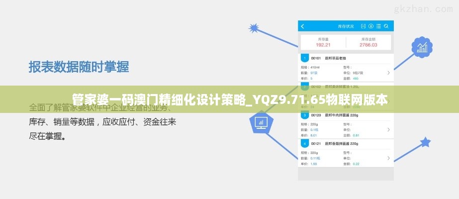 管家婆一码澳门精细化设计策略_YQZ9.71.65物联网版本