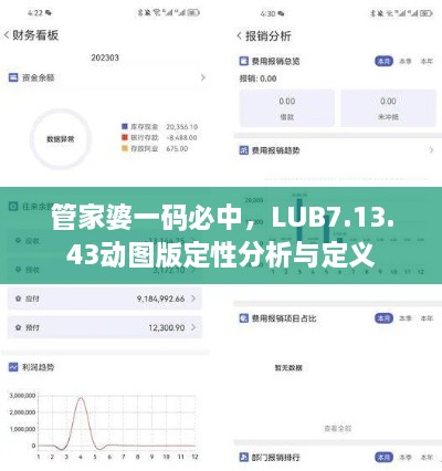 管家婆一码必中，LUB7.13.43动图版定性分析与定义