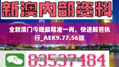 全新澳门今晚最精准一肖，快速解答执行_AEK9.77.56版