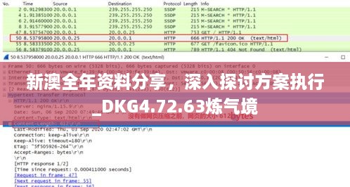 新澳全年资料分享，深入探讨方案执行_DKG4.72.63炼气境