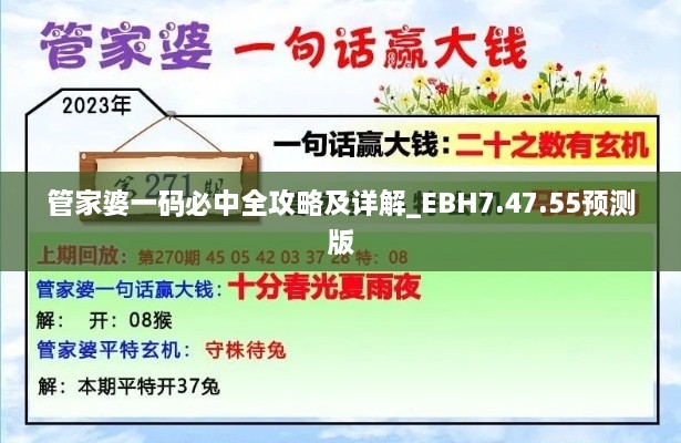 管家婆一码必中全攻略及详解_EBH7.47.55预测版