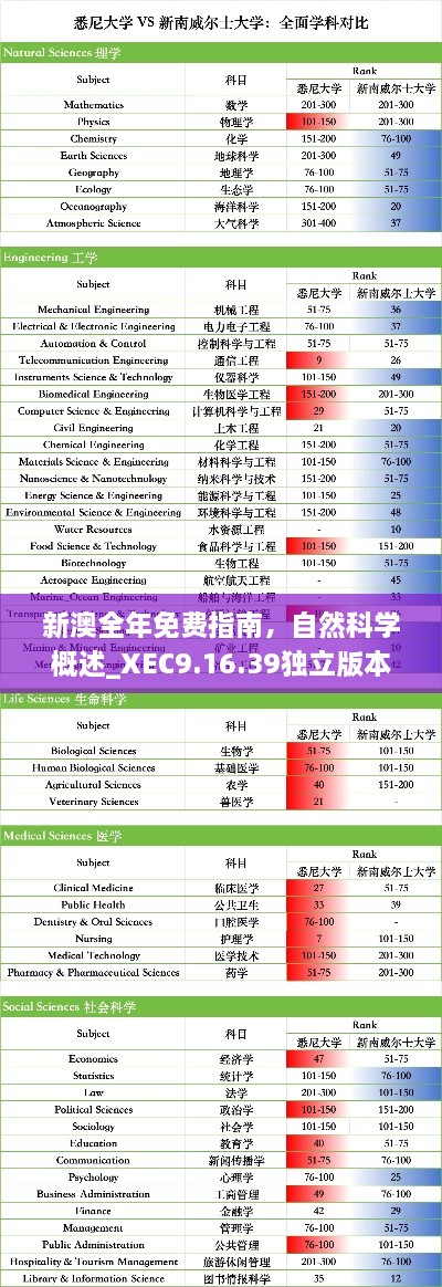 2024年11月20日 第78页