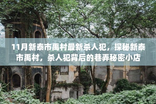 揭秘新泰市禹村杀人案，背后巷弄秘密小店与犯罪真相探寻