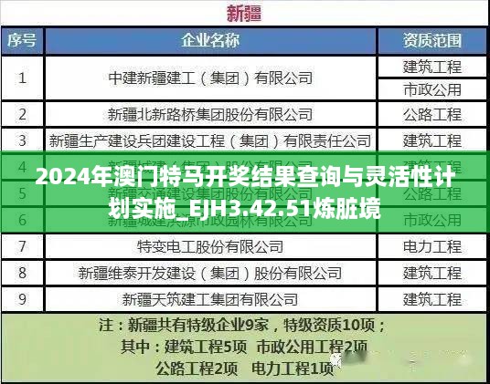 2024年澳门特马开奖结果查询与灵活性计划实施_EJH3.42.51炼脏境