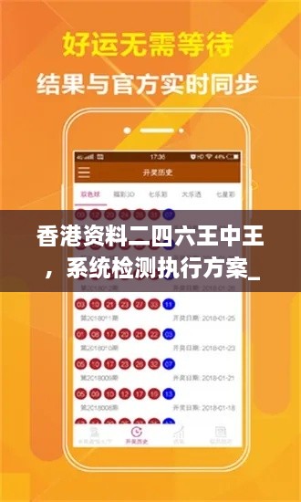 香港资料二四六王中王，系统检测执行方案_QQX1.11.60便携版