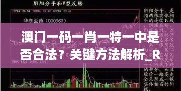 澳门一码一肖一特一中是否合法？关键方法解析_RSL5.18.55限量版