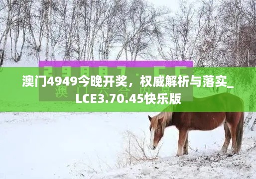 澳门4949今晚开奖，权威解析与落实_LCE3.70.45快乐版