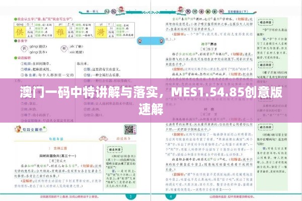 澳门一码中特讲解与落实，MES1.54.85创意版速解