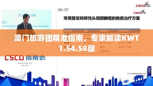 澳门旅游团精准指南，专家解读KWT1.54.58版