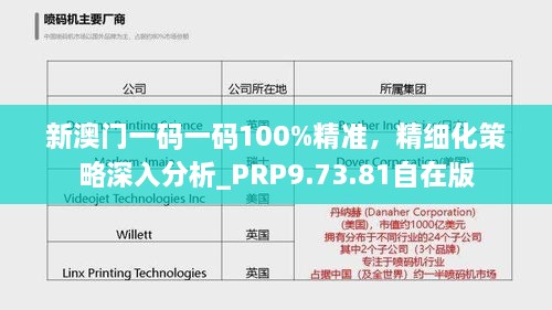 新澳门一码一码100%精准，精细化策略深入分析_PRP9.73.81自在版