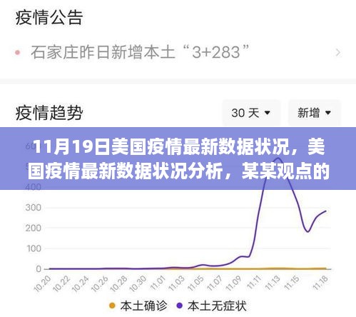 美国疫情最新数据深度解析，最新状况与观点探讨（11月19日）