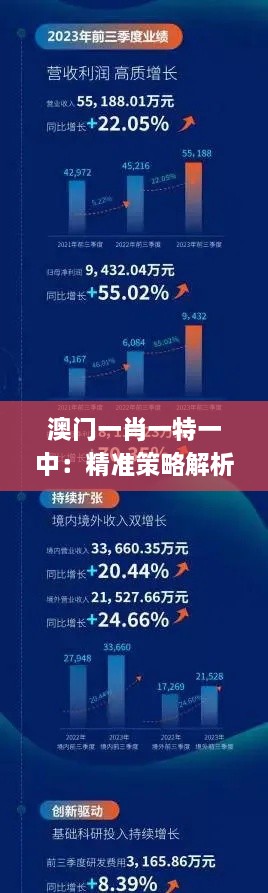 澳门一肖一特一中：精准策略解析与视频演示_QRP1.72.54