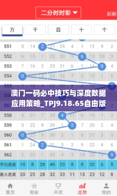 澳门一码必中技巧与深度数据应用策略_TPJ9.18.65自由版