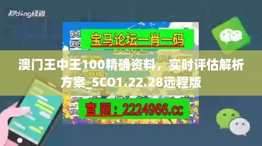 澳门王中王100精确资料，实时评估解析方案_SCO1.22.28远程版