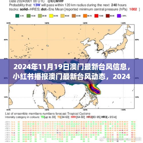 澳门台风最新消息播报，风之舞与气象万千（2024年11月19日）