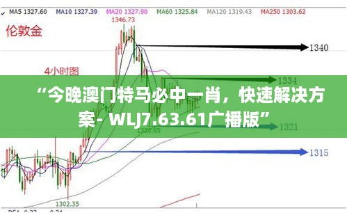 “今晚澳门特马必中一肖，快速解决方案- WLJ7.63.61广播版”