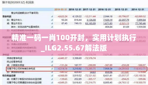 精准一码一肖100开封，实用计划执行_ILG2.55.67解法版