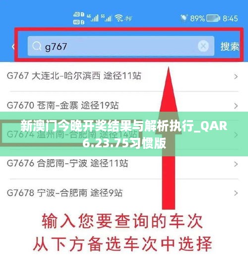 新澳门今晚开奖结果与解析执行_QAR6.23.75习惯版