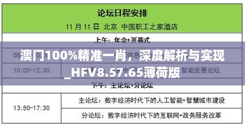 澳门100%精准一肖，深度解析与实现_HFV8.57.65薄荷版