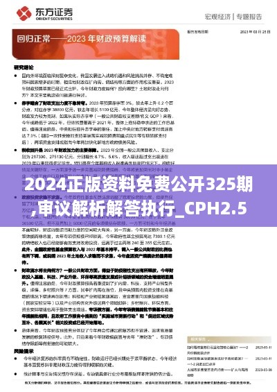 2024正版资料免费公开325期,审议解析解答执行_CPH2.52.82数字处理版