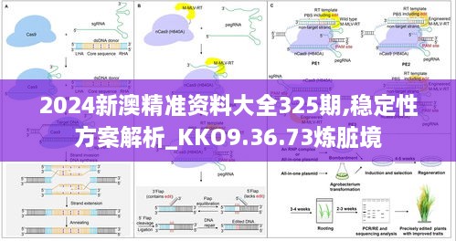 2024新澳精准资料大全325期,稳定性方案解析_KKO9.36.73炼脏境