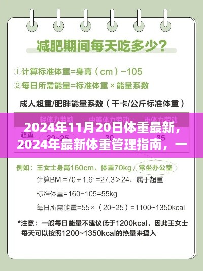 2024年体重管理指南，实现健康减重，掌握最新体重管理技巧