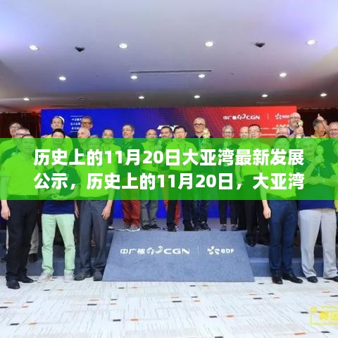 历史上的11月20日，大亚湾最新发展公示及其深度影响解读