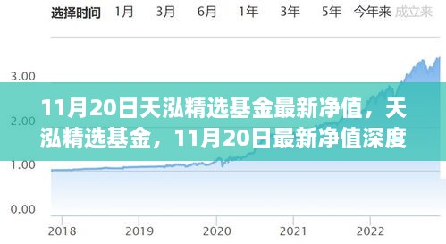 天泓精选基金最新净值深度解析，11月20日数据出炉