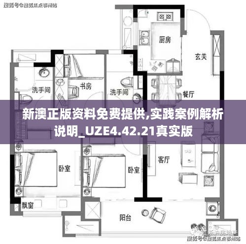 新澳正版资料免费提供,实践案例解析说明_UZE4.42.21真实版