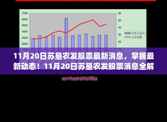 11月20日苏垦农发股票最新动态全解析，初学者与进阶用户指南