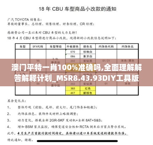 澳门平特一肖100%准确吗,全面理解解答解释计划_MSR8.43.93DIY工具版