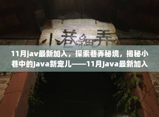 揭秘巷弄秘境，探索Java新宠儿——最新加入的Java技术解析（11月）