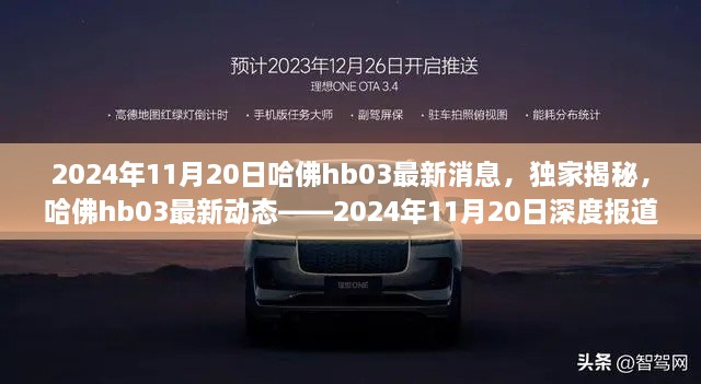 独家揭秘，哈佛HB03最新动态深度报道（2024年11月20日更新）