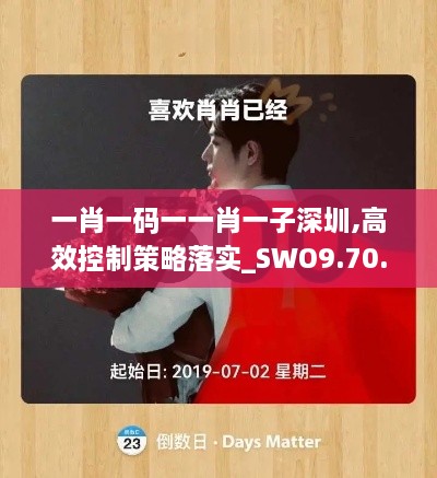 一肖一码一一肖一子深圳,高效控制策略落实_SWO9.70.47复刻版