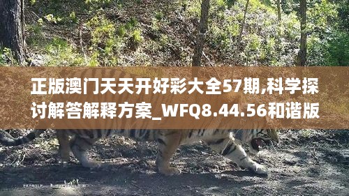 正版澳门天天开好彩大全57期,科学探讨解答解释方案_WFQ8.44.56和谐版