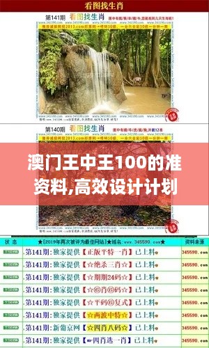 澳门王中王100的准资料,高效设计计划实施_CXP4.43.26调整版