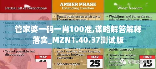 管家婆一码一肖100准,谋略解答解释落实_MZN1.40.37测试版