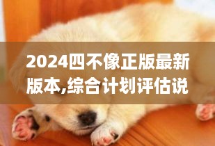 2024四不像正版最新版本,综合计划评估说明_IEB4.71.65明星版