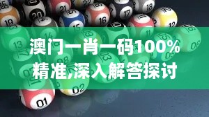 澳门一肖一码100%精准,深入解答探讨计划_OTO6.30.90单独版