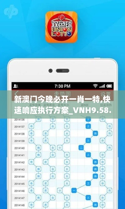 新澳门今晚必开一肖一特,快速响应执行方案_VNH9.58.42解放版