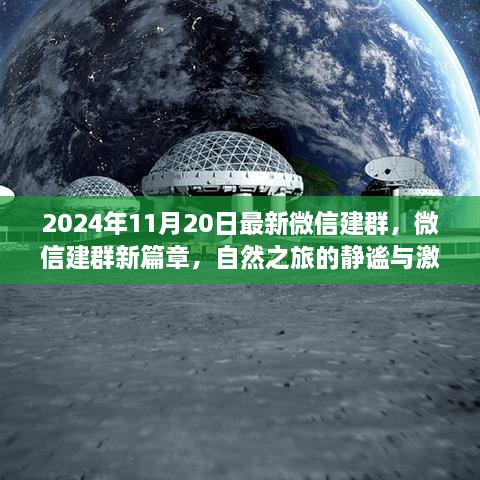 微信建群新篇章，启程自然之旅，静谧与激情的交融（2024年11月20日最新资讯）