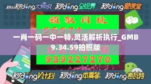 一肖一码一中一特,灵活解析执行_GMB9.34.59拍照版