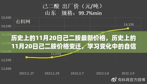 历史上的己二胺价格变迁，自信与成就之光闪耀在11月20日的光辉岁月