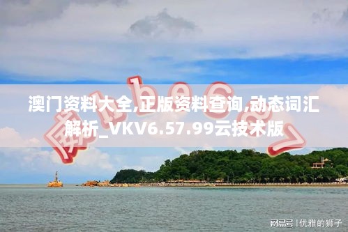 澳门资料大全,正版资料查询,动态词汇解析_VKV6.57.99云技术版