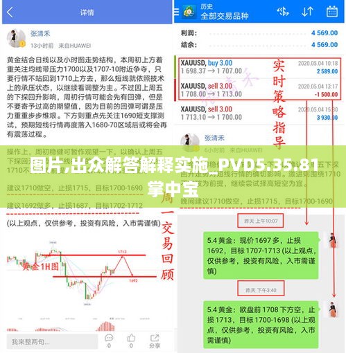 图片,出众解答解释实施_PVD5.35.81掌中宝